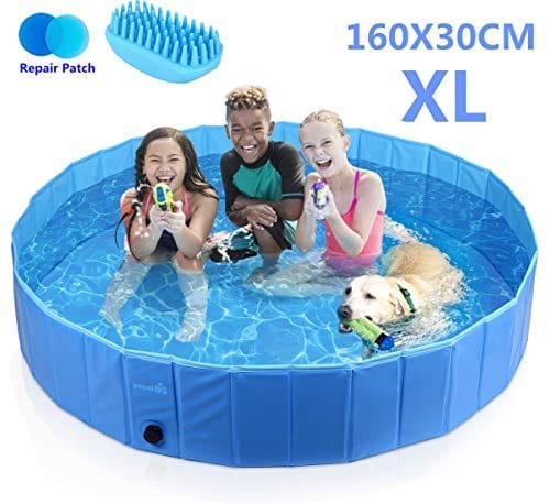 Las Mejores Piscinas Para Perros