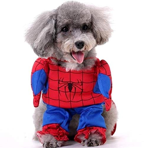 Disfraz vestido de Spiderman para perro