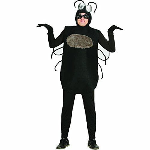 Disfraz de moscardón