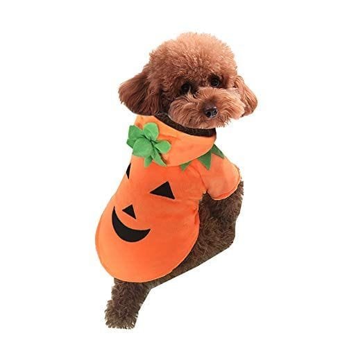 Disfraz de calabaza para perro