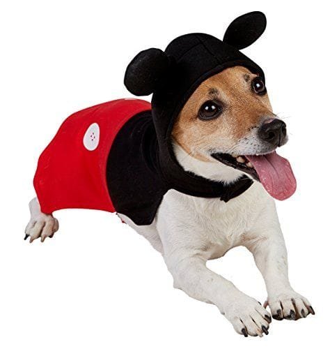 Disfraz de Minnie Mouse para perro