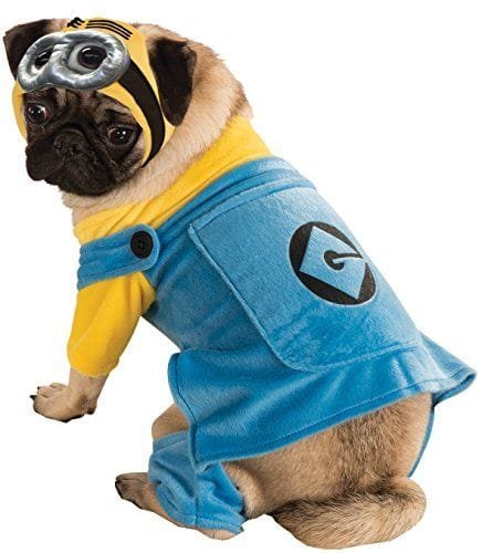 Disfraz de Minion para perro