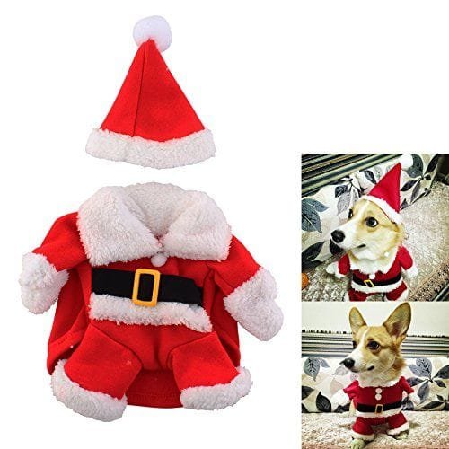 Disfraz de Papá Noel para perro