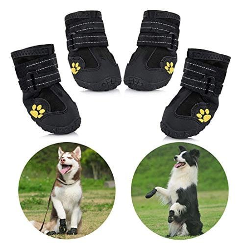 Botas Para Perro De Nieve
