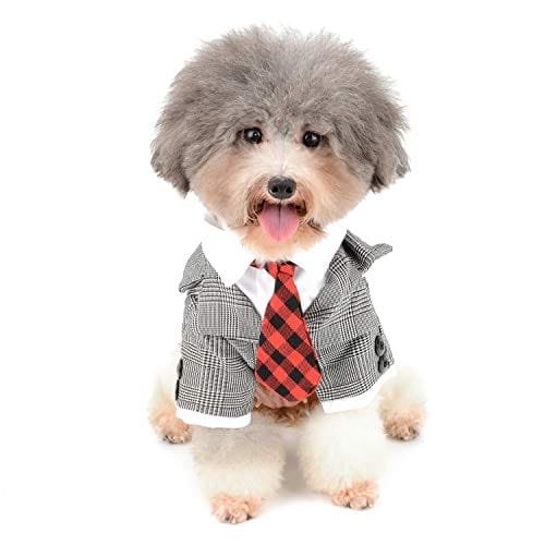 Disfraz de novio elegante para perro