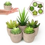Cactus Plástico