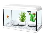 Acuario Infantil