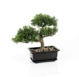 Bonsai Plástico