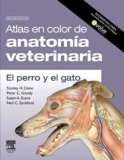 Anatomia Del Perro