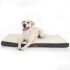 Cama Puff Plegables