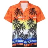 Camisa barata