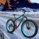 Bicicletas eléctricas chinas baratas