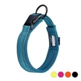 Collar Perro Azul