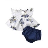 Conjuntos Bebe Niña, Lanskirt 0-24 Meses Ropa Bebe Niña Camisetas Bebe de Estampado de Flores de Impresión + Pantalones Cortos de Moda 2019.