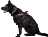 Arnes Para Perros Hecho A Mano