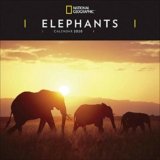 Calendario De Elefantes
