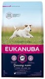 Cachorros De Perros Pequenos