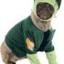 Disfraz de calabaza para perro