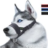 Bozal Perros