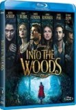 Into The Woods [Blu-ray]