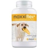Artritis En Perros