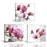 Orquideas rosas