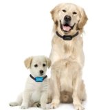 Premium Paws El Mejor Collar Anti Ladridos, Collar Frena-Ladridos..