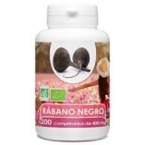 EL MEJOR RABANO NEGRO