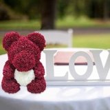 osos de peluche borgoña