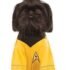 Disfraz de Spock para perro