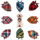Bandanas Perros
