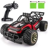 Coche Teledirigido Grande