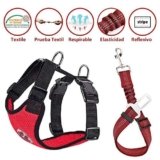 Accesorios Caniches Toy