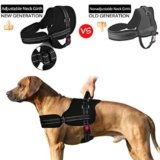 Ataxia En Perros