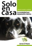 Ansiedad Por Separacion Perros