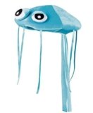 Sombrero de Boland