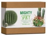 Cactus baratos