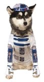 Disfraz de R2D2 para perro