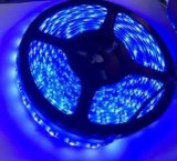 Tira De Led Azul Impermeable