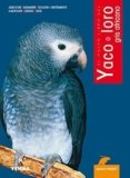 Yacos baratos