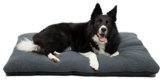 Almohadas Perros